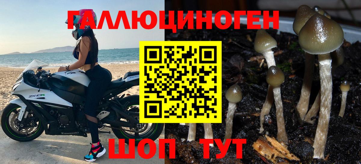 Галлюциногенные грибы Magic Shrooms  Вход с VPN  Вышний Волочёк 