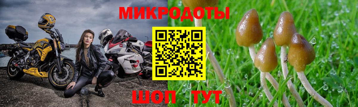 Псилоцибиновые грибы ЛСД Вышний Волочёк